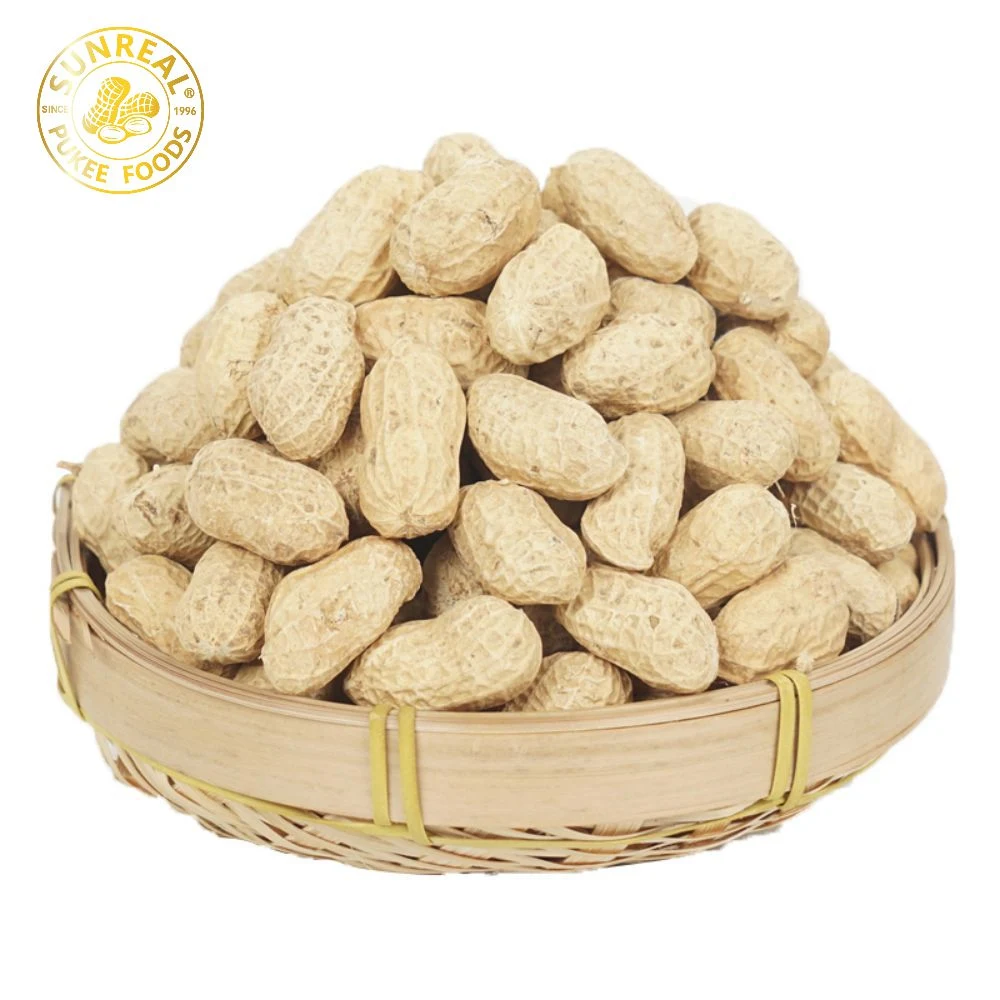 China Raw Peanut in Shell Hsuji Type/Plump Seeds/Quality Assurance