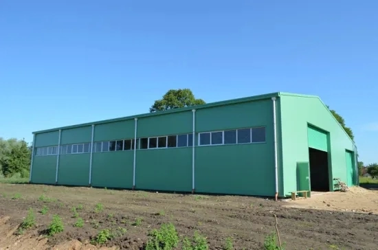 La Chine usine pour une structure en acier préfabriqués Atelier d'Entrepôt/Structure Factory