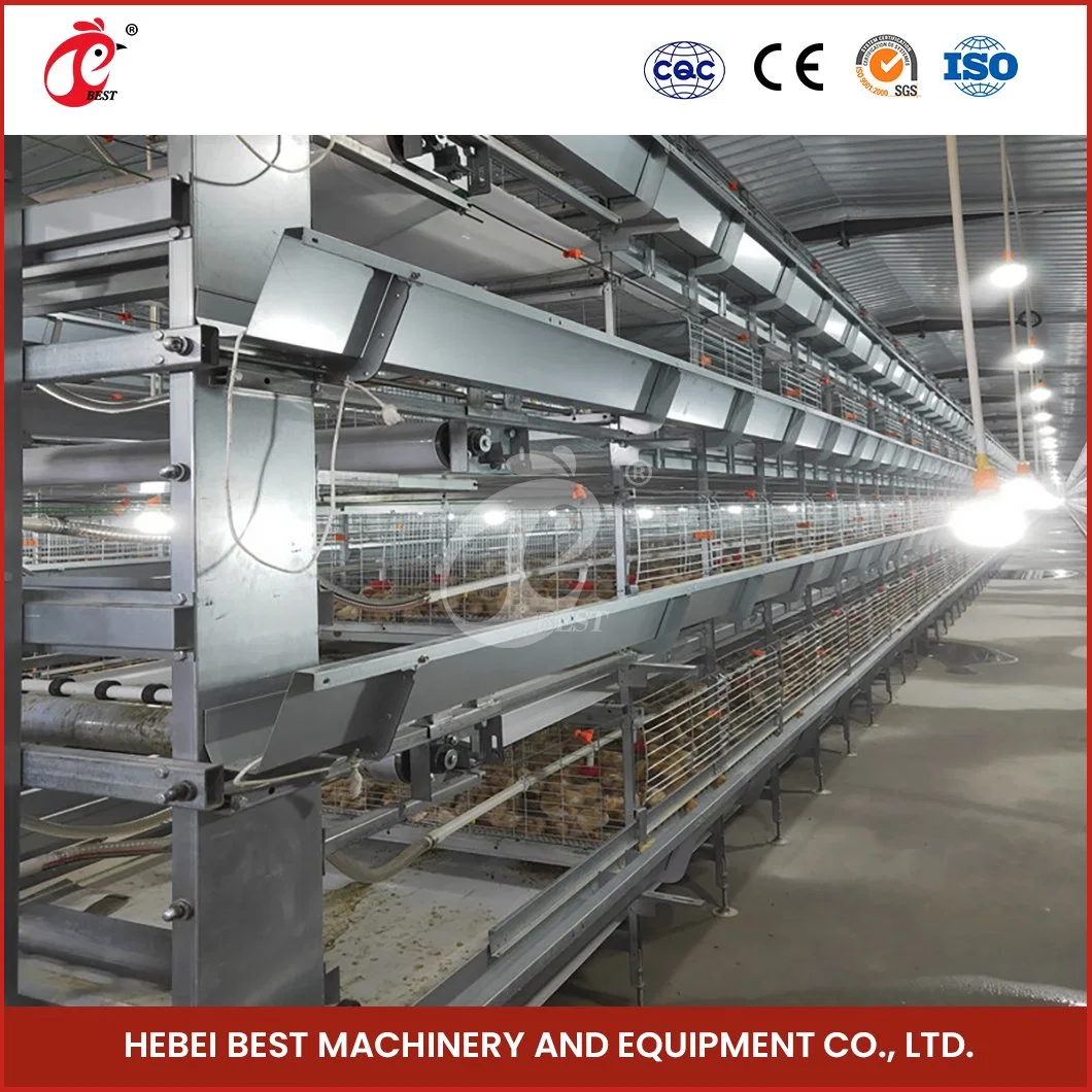 Bestchickencage China House Chickens Factory H Frame Automatic Boriler Cages Wholesale/Supplier Low Carbon Steel Wire Material Foldable Stackable Chicken Cages