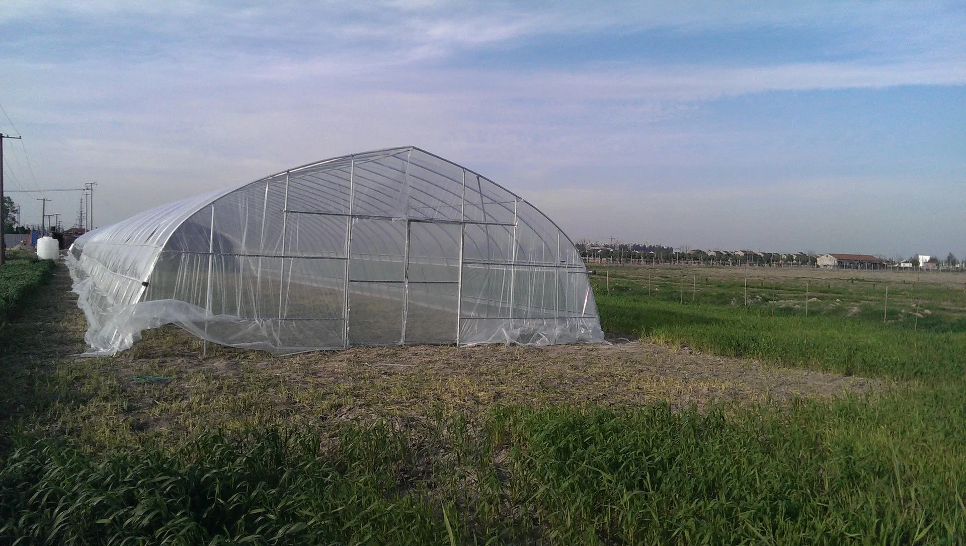 Landwirtschaftliche / kommerzielle Single Span / Günstige Tunnel / Gothic Kunststoff-Film hydroponic einfach und einfach Gewächshaus