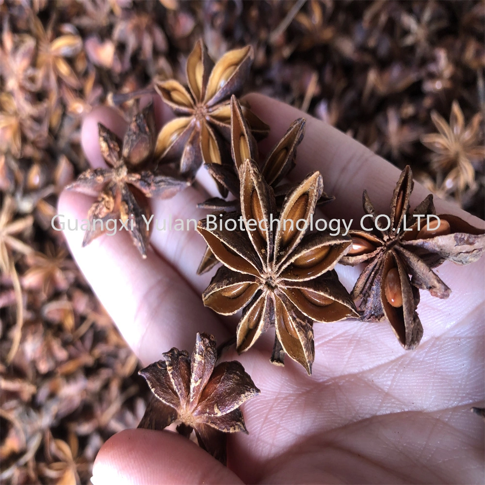 Manufacturer Bulk Seasoning Winter Crop Star Anise Chinese Spices Dry Star Aniseed