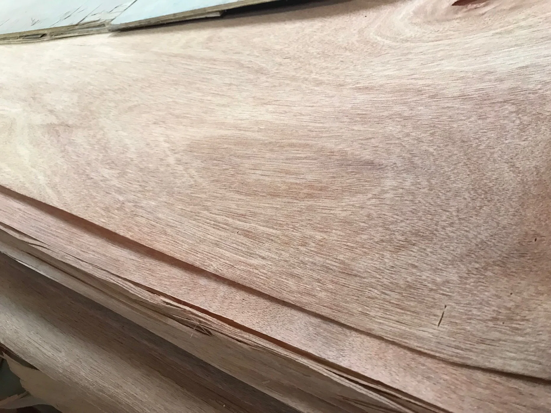 High Quality Nature Wood Veneer for Face and Back