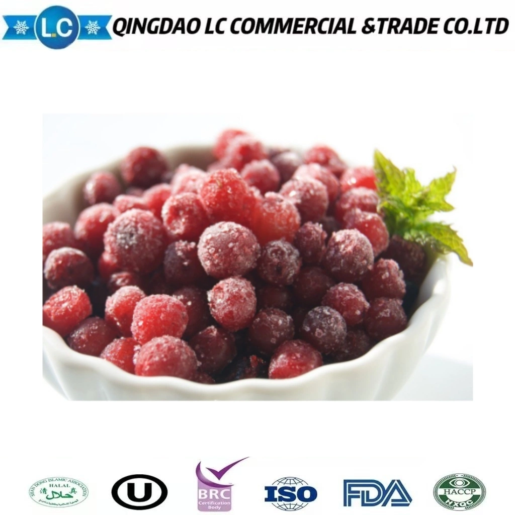 China Frozen Fruit Frozen Wild Lingonberries