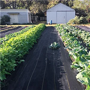 Garden Weed Barrier, 3' X 50' Heavy Duty Landscape Fabric, Thick Woven Weed Block Control, Black Mulch for Ground Cover Textiles.