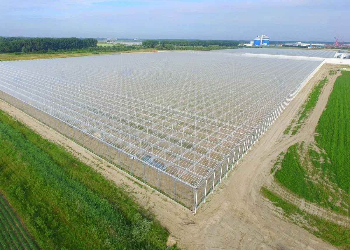 Tempered Glass Hydroponic Greenhouse with Thermal Break for Growing Vegetables, Fruits, and Flowers