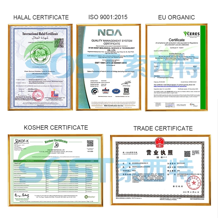 Extracto de Ginseng orgánico certificado ISO de la UE Cápsulas de Ginseng Panax