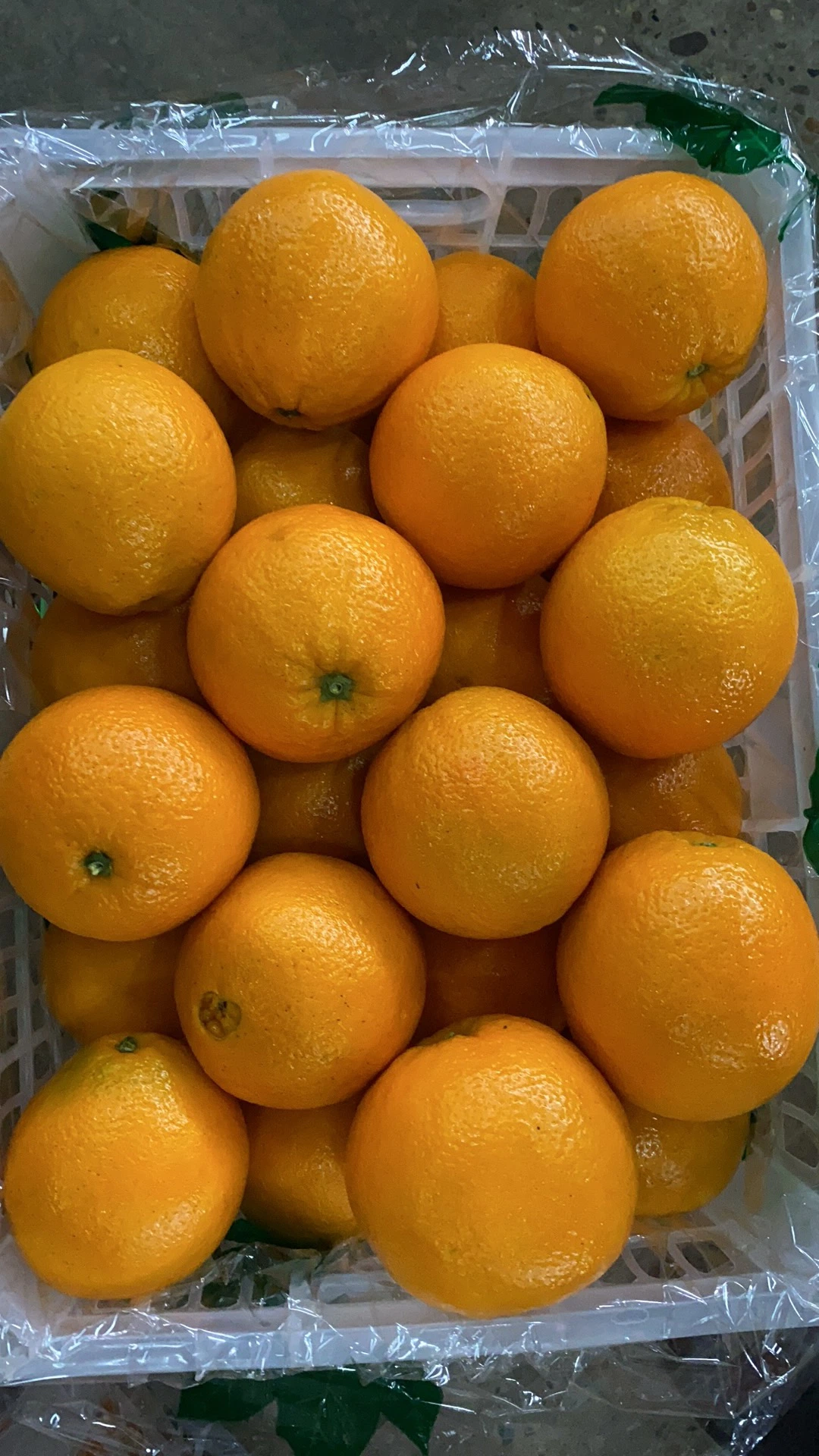 El chino Navel naranja de Venta Directa de Fábrica