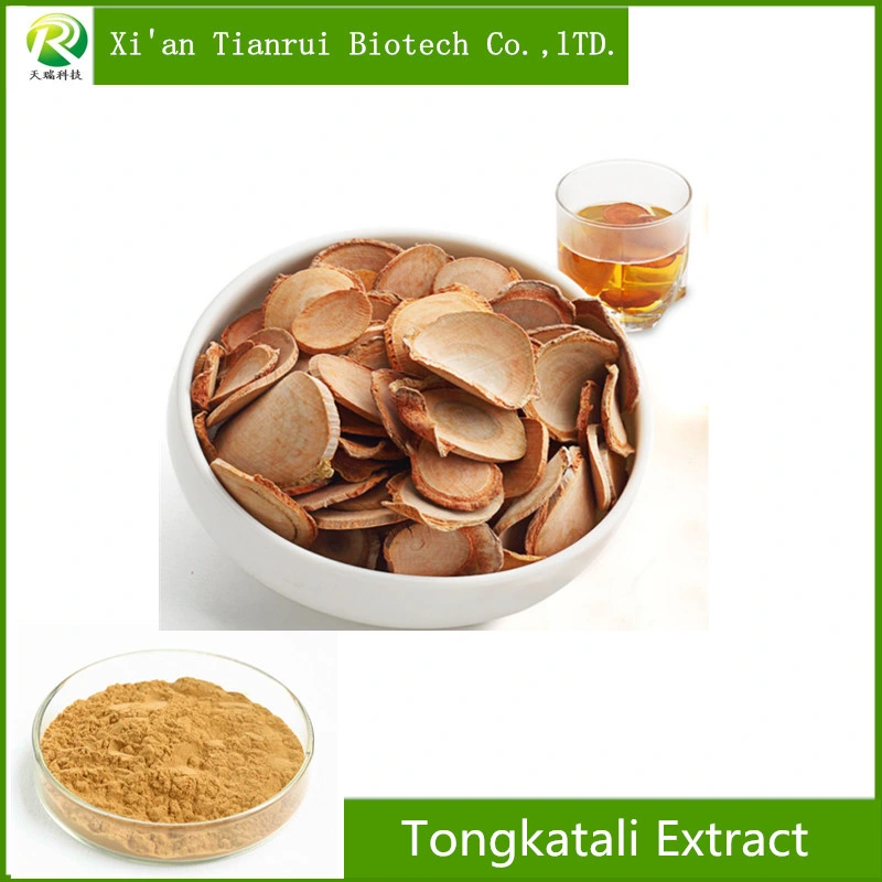 Factory Supply Tongkat Ali Extract Powder for Male Sexual Enhance