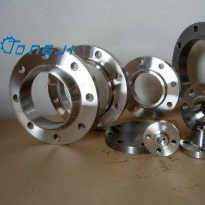 Hot Selling Titanium Forgings