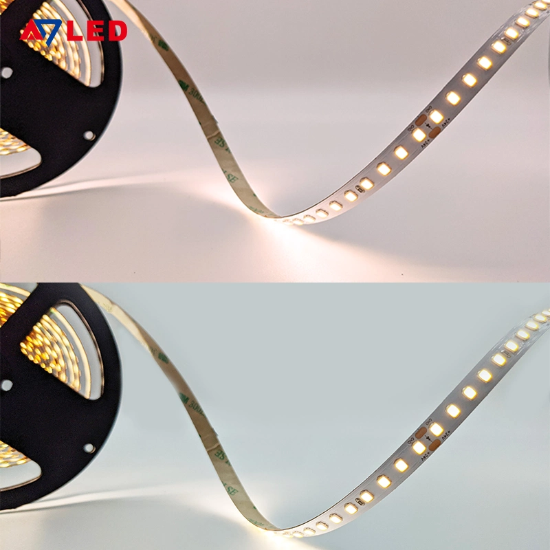 Led haute Lumen 728mm 3W/M SMD2835 5M Strip Light LED souples à intensité réglable