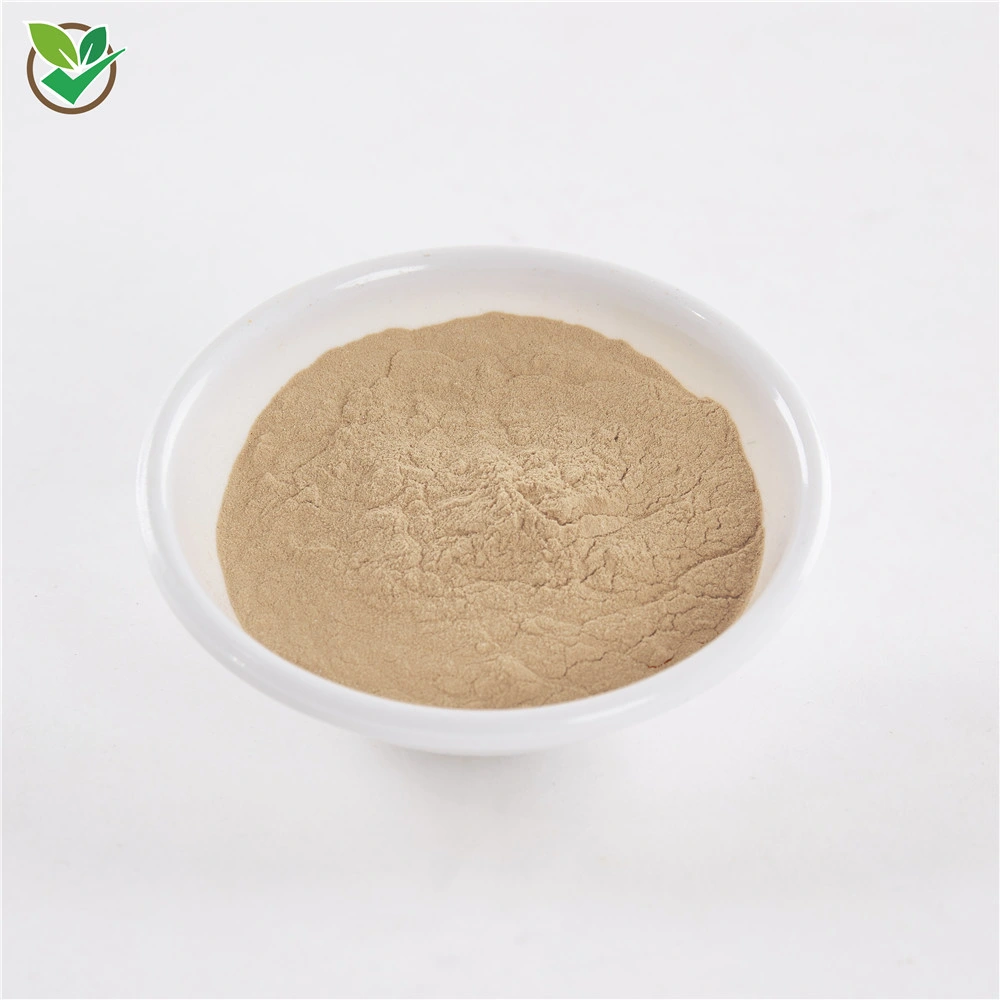 100% Organic Amla Powder Bio Dried Amla Powder Amla Fruit Extract Powder