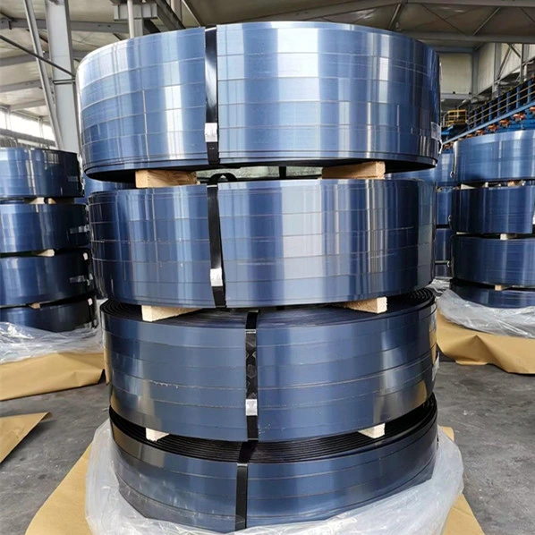 Cold Rolled Iron Strip Sn400 S420 Sn490 Q390 E355 E399 Q355gnh A709m 1/2" Low Alloy Steel Coil