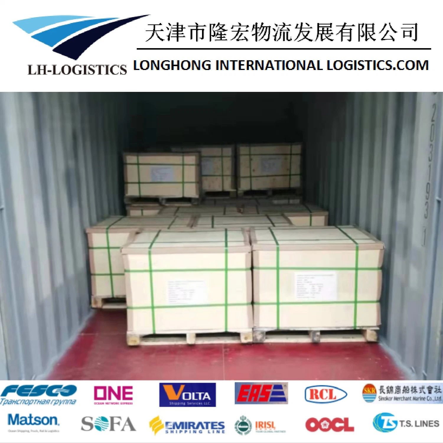 Envio profissional Frete de cargas de cargas de carga de China Shanghai/Shenzhen/Ningbo/Qingdao/Tianjin/Dalian a Bandar Abbas/EUA/Canadá/Europa/Reino Unido/África.