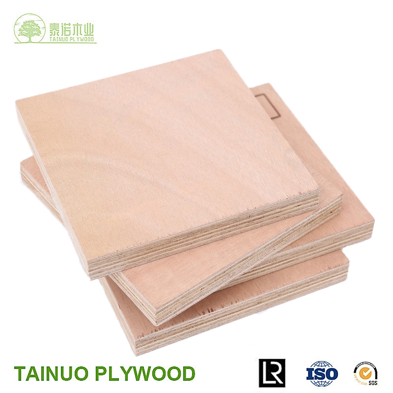 9mm Poplar Door Size Plywood for Furniture