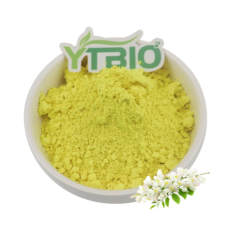 Professional Manufacturer Plant Sophora Japonica Extract Rutin Powder 95%