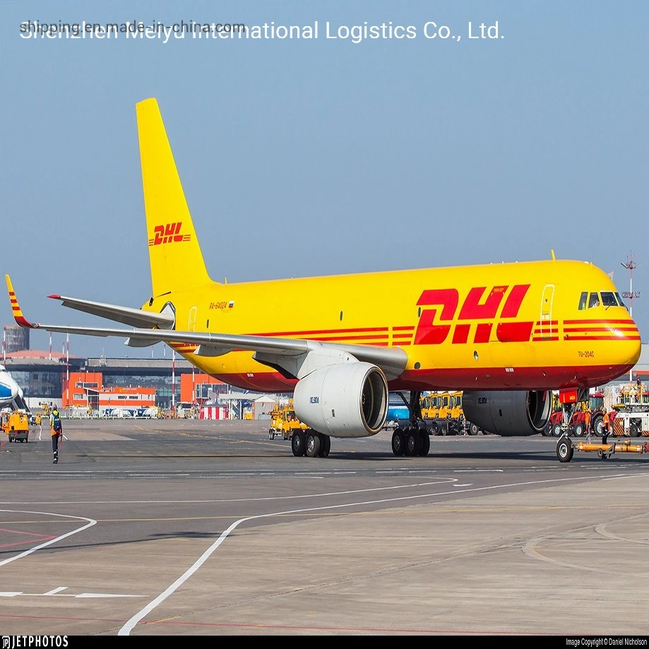 Fiable DHL Shipping Agent Air Shipping de Chine à New Zélande