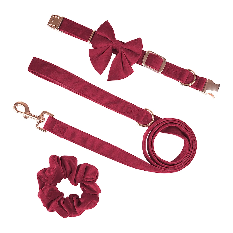 Fontes de Pet Petisland Factory o melhor preço por grosso de Cão Topo de chumbo e colares de Bow tie Puppy Colares de Formação de veludo macio Dog leash