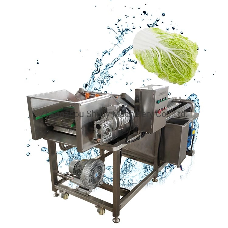 Multifunctional Industrial Ozone Vegetable Washer Air Bubble Continuous Water Spray Fruit Spinach Vegetable Washing Machine