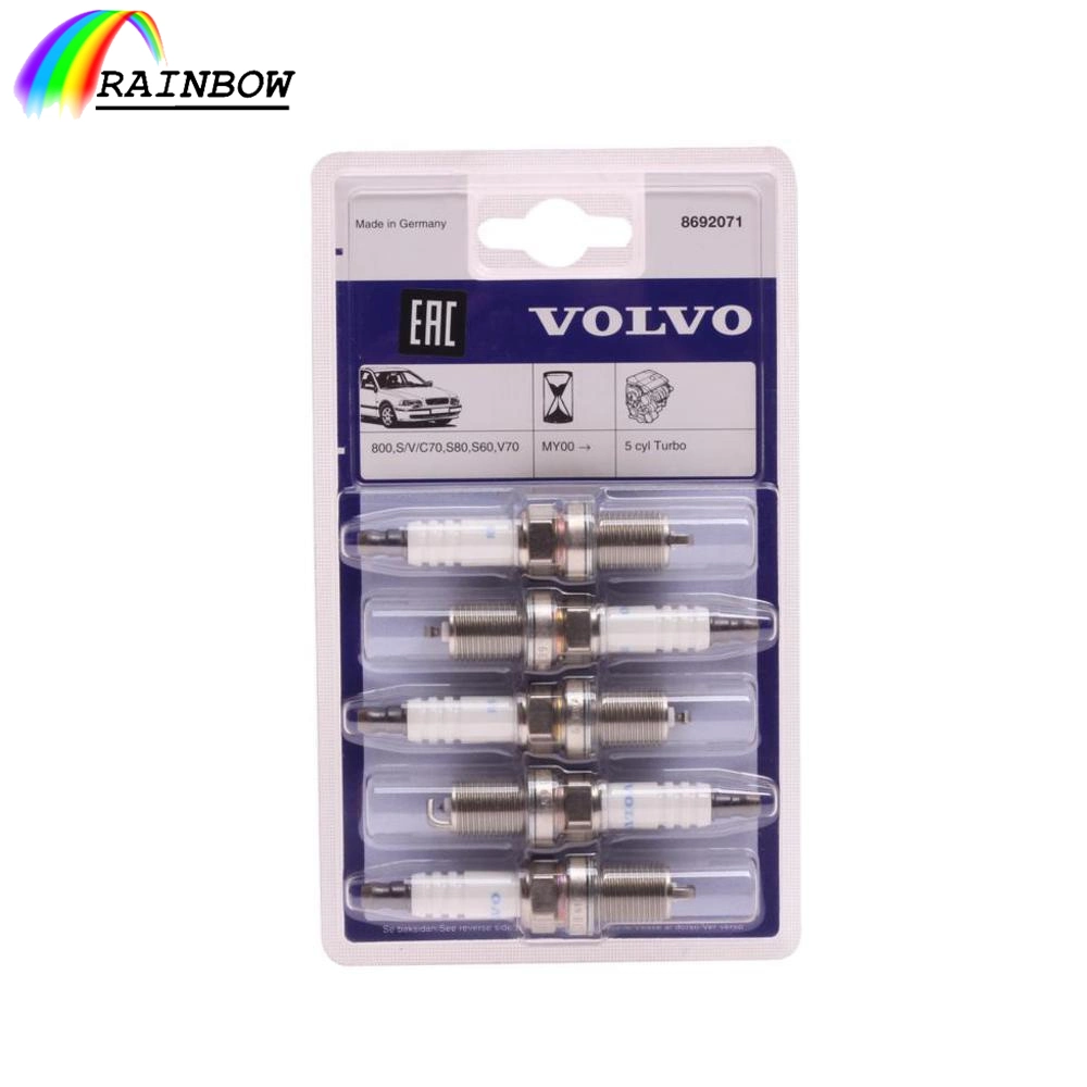 Promotion Price Ignition/Platinum/Nickel 8692071 Sparking Plug/Spark Plugs/Sparkplug for Volvo