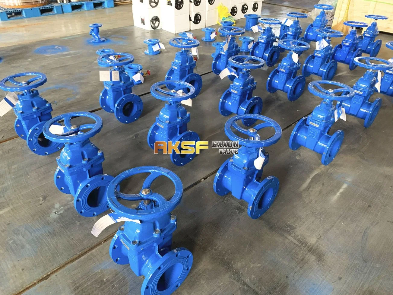 Ggg40/Cast Iron/Ductile Iron Gate Valve with Non Rising Stem