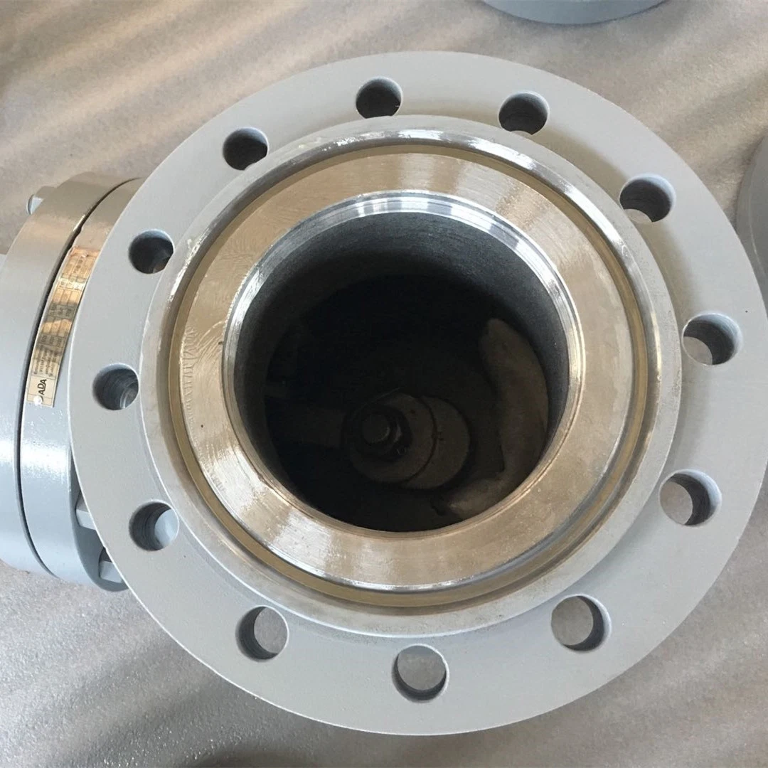 for Sale API Wcb SS316 CF8m Flange Swing Check Valve for 10 Inch