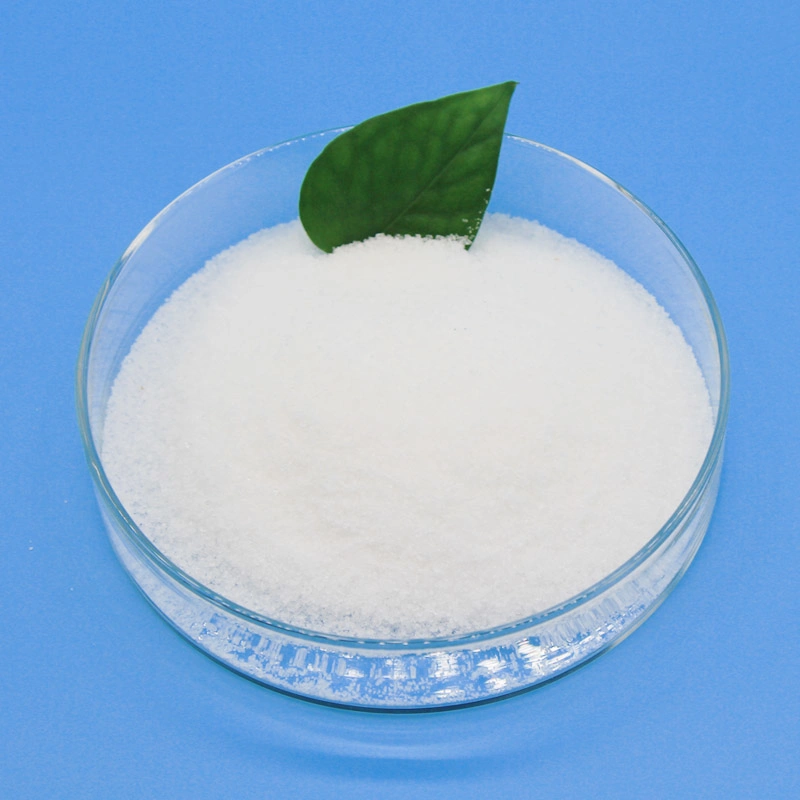 Factory White Powder Wholesale/Supplier Price Polyacrylamide PAM for Waste Water Treatment