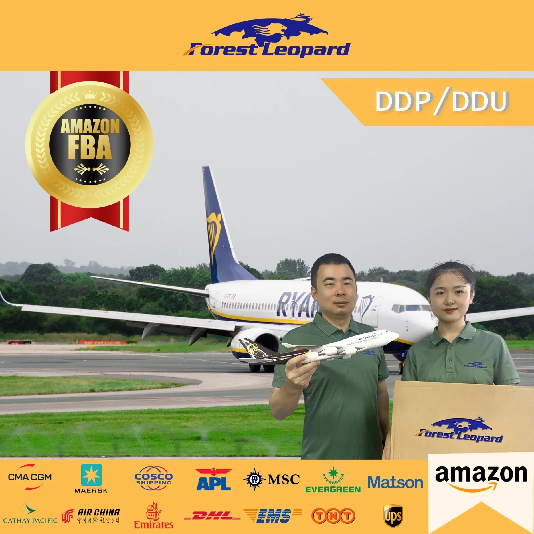 Amazon Fba Services Air Shipping From China to USA Logistics Shipping Rates LCL DDP DDU Forestleopard