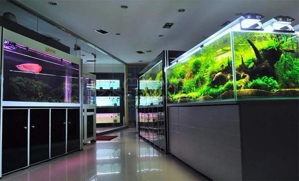 Roof Curing Aquarium Glass Waterproof Silicone Sealant