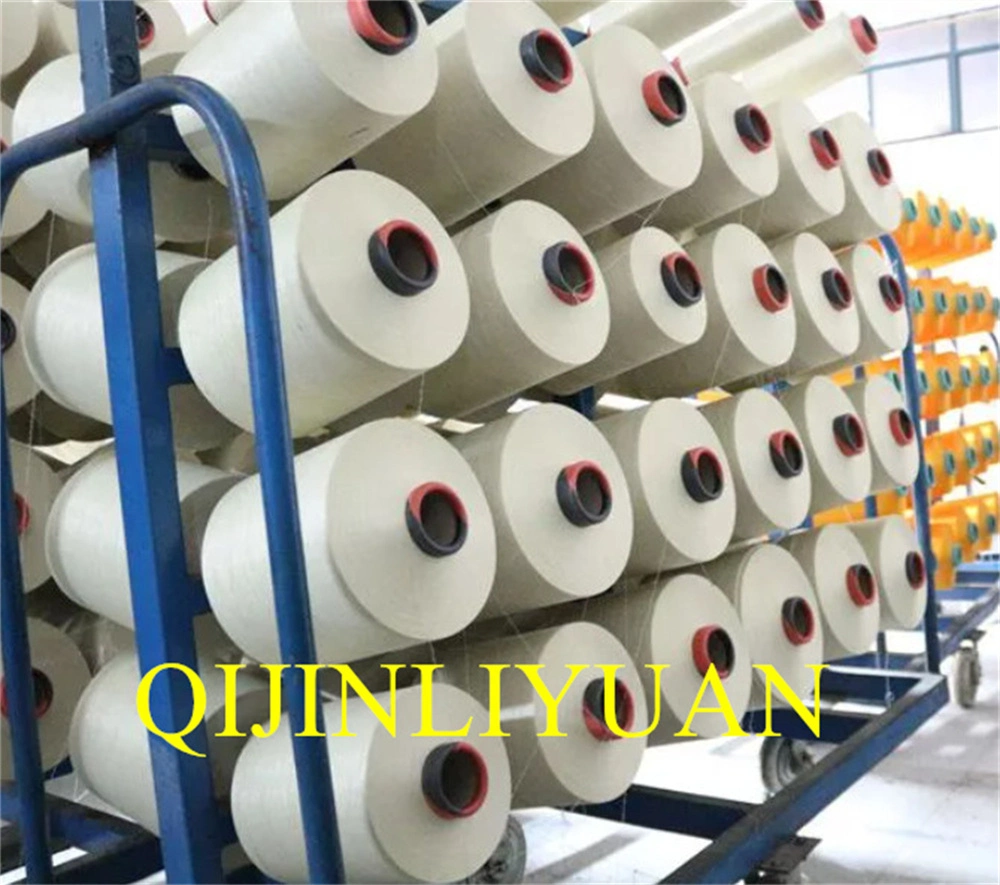 Polyester Yarn DTY 300/96 SD RW Nim AA Textile Yarns