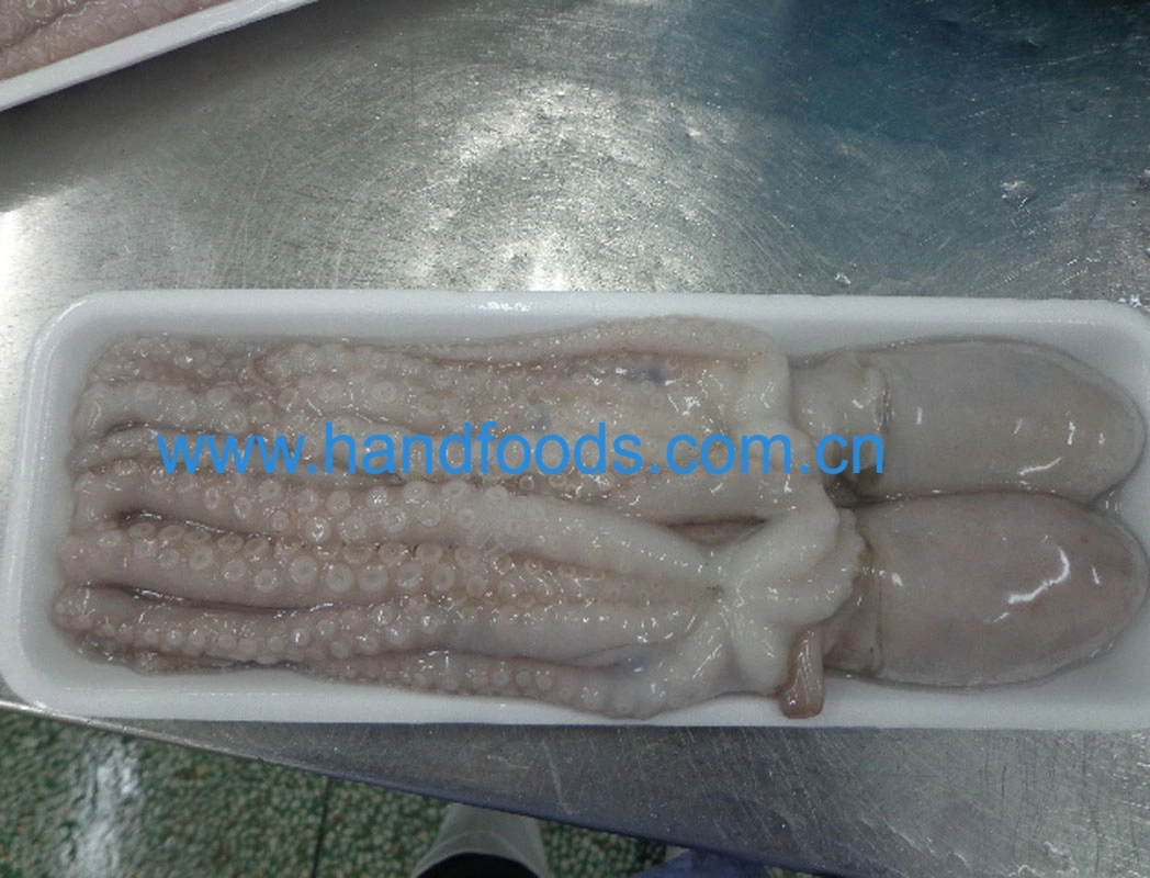 Premium Quality Seafood of Frozen Whiparm Octopus (long-leg)