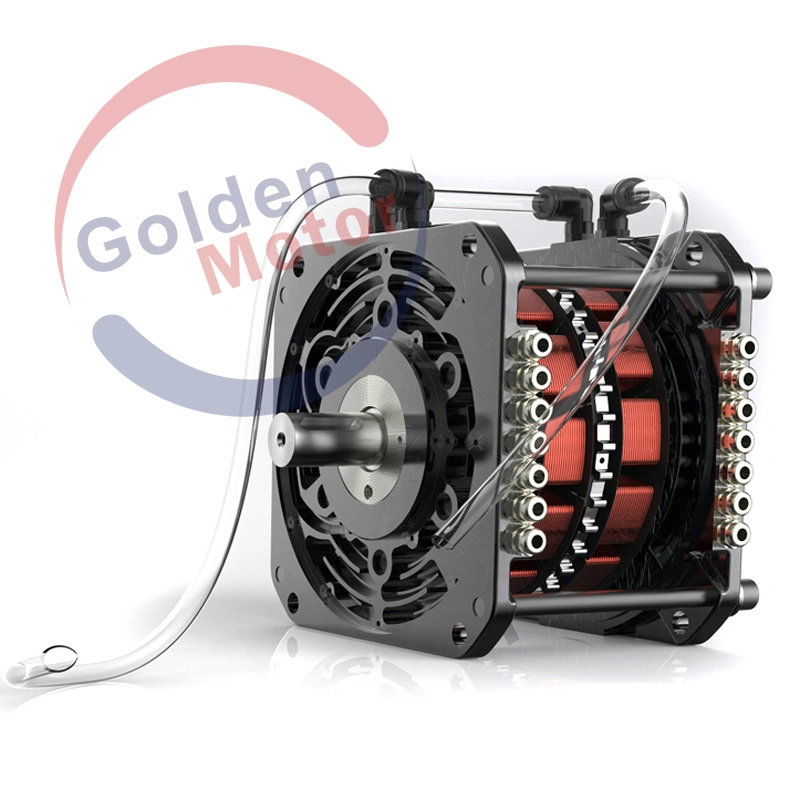 Haute efficacité Golden constructeur du moteur, moteur BLDC 60V 1500W pour l'Electric Motorcycle et moto