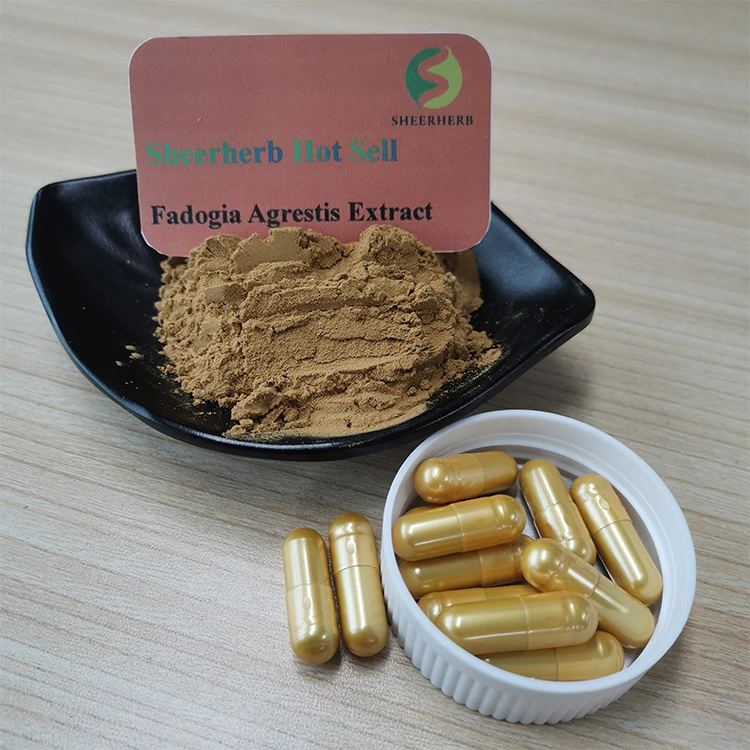 Sheerherb OEM Private Label Fadogia Agrestis et Tongkat Ali Extract Supplement Capsule