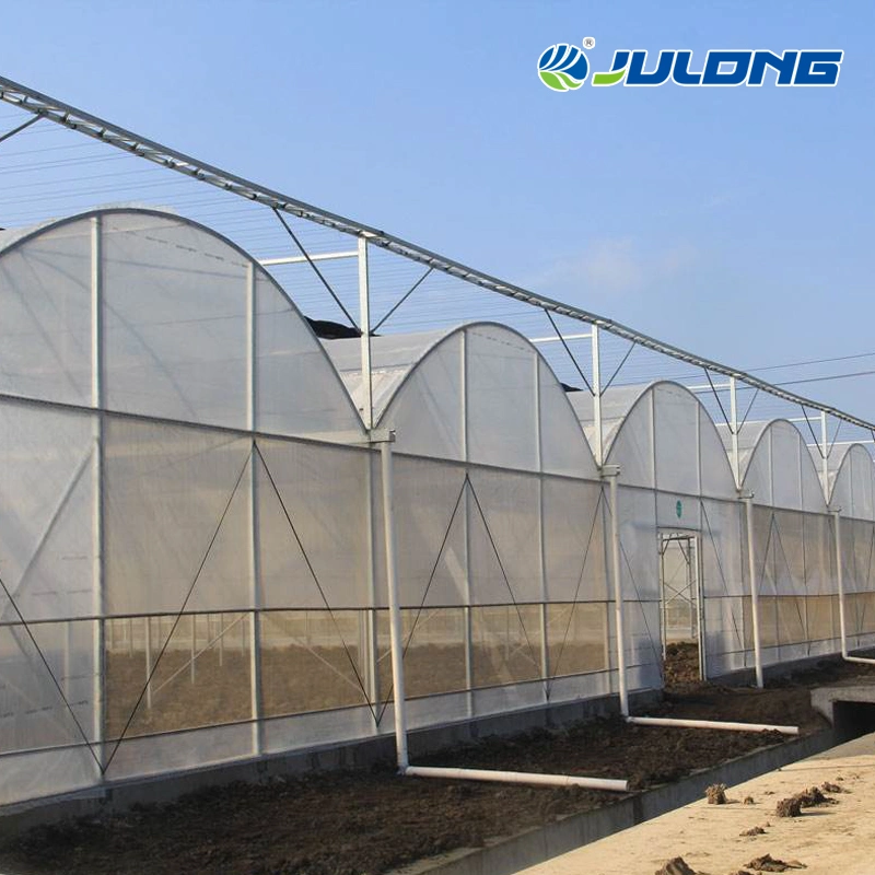 Poly Tunnel Greenhouse Plastic Film Farming Vegetables Tomato Strawberry Multi Span Agricultural Green House for Sale