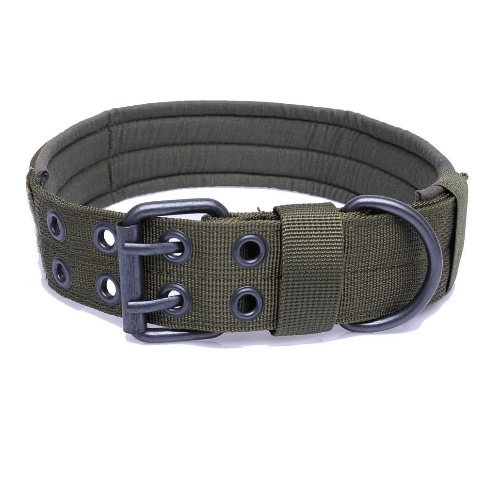 Pet Recovery Collars Wholesale/Supplier Waterproof Pet Collars