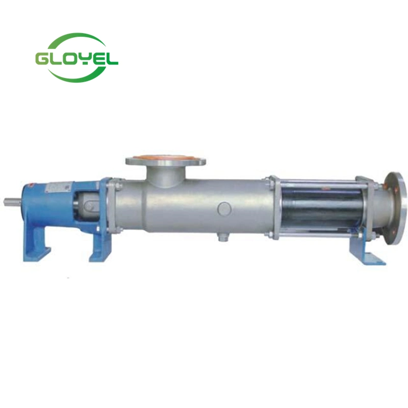 Electric Progressive Cavity Submersible Slurry Sludge Twin Elevator Screw Compressor Pump