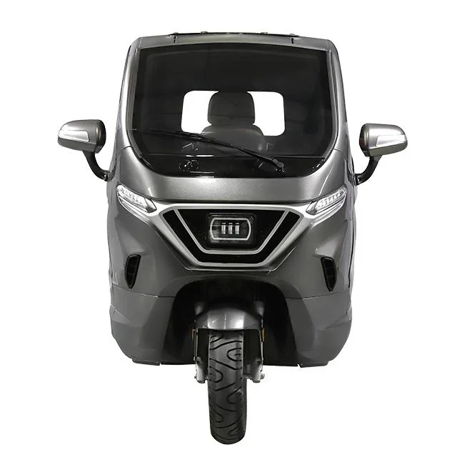 Three Wheeler Auto Rear Wheel Drive Electric Trike Lithium Battery