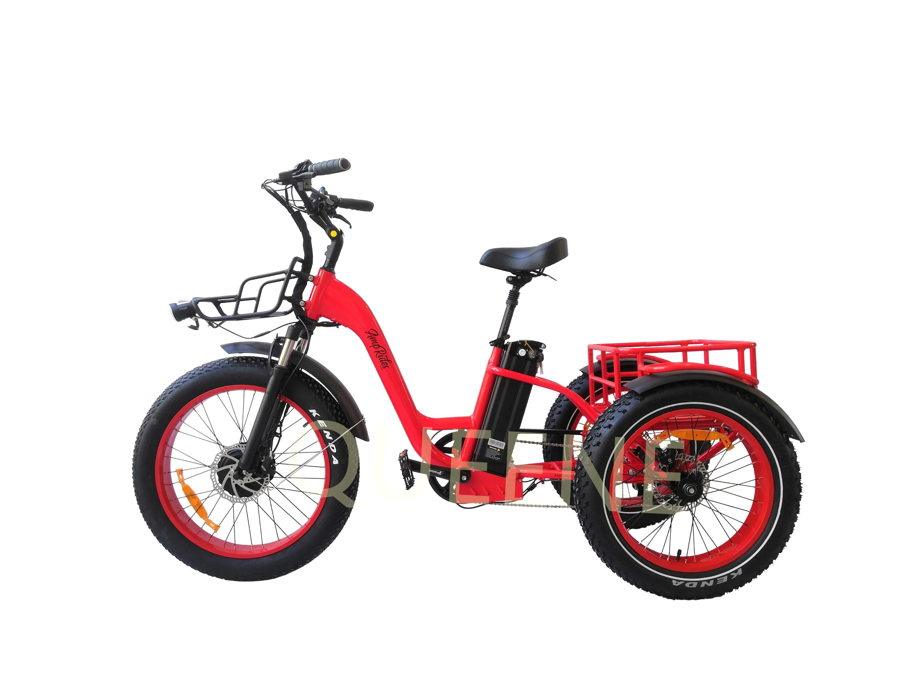 Queene Fat Tire Mountain E-Bike Factory Ebike 500W Food Delivery Trike