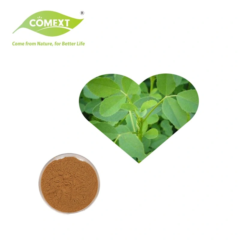 Comext Food Grade Alfalfa Extract Powder 10: 1