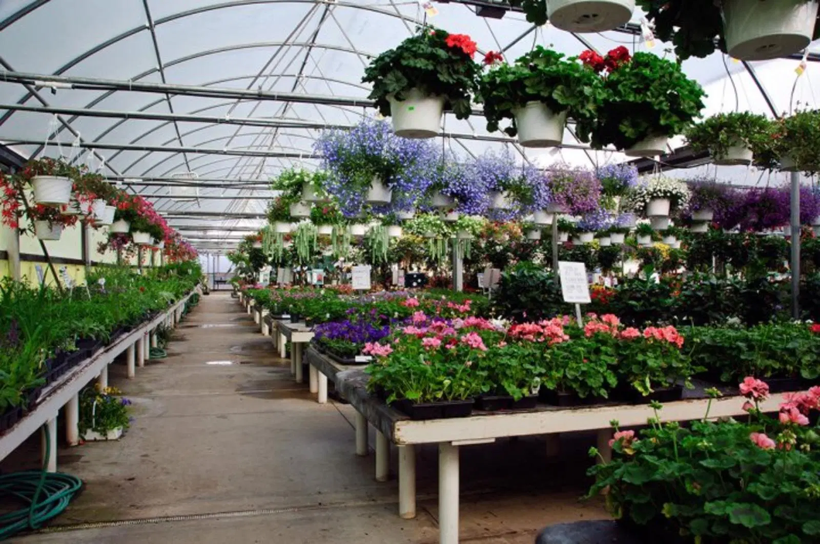 Modern Style Greenhouse Covered with PC Sheet/Glass Greenhouse for Vegetables/Fruits/Flowers