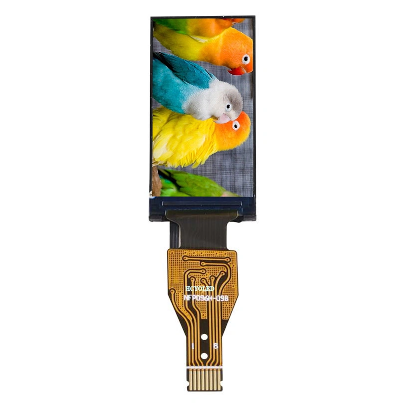 0.96-Inch TFT LCD Display with 80X160, Frequently Used in Wearable and Medical Devices