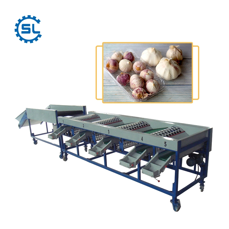 3-8t/H 3-9 Grades Garlic Shiitake Sorting Grading Machine