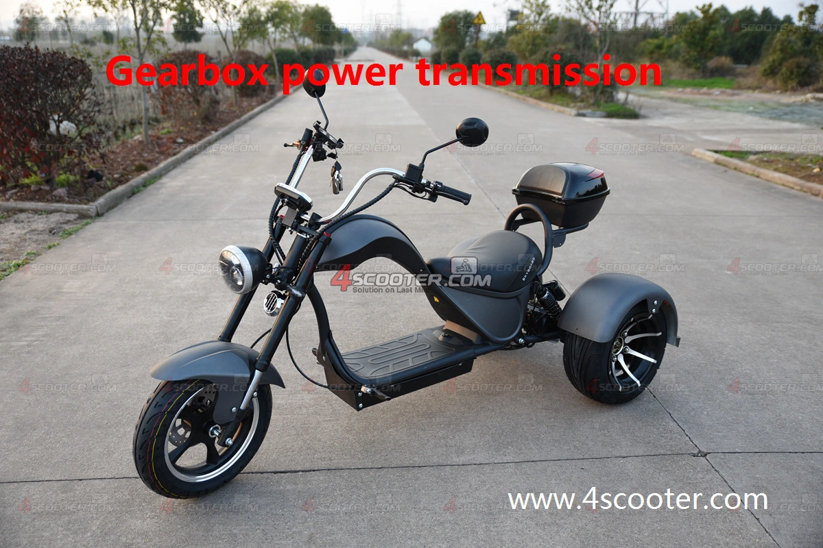 New Solar 3000W 4000W 5000W Electro Dual Motor Adult Electric 3 Wheel Scooters