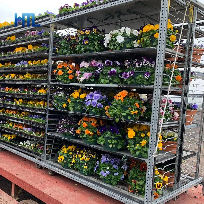 Jardim Horticultural galvanizado metal planta dinamarquesa viveiro Transporte cc Trolley