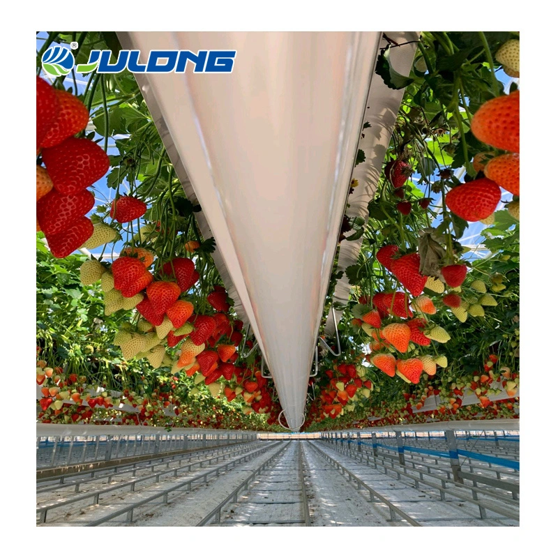 New Design Multi-Span Plastic Film Greenhouse Used for Agriculture Strawberry Growing Farming