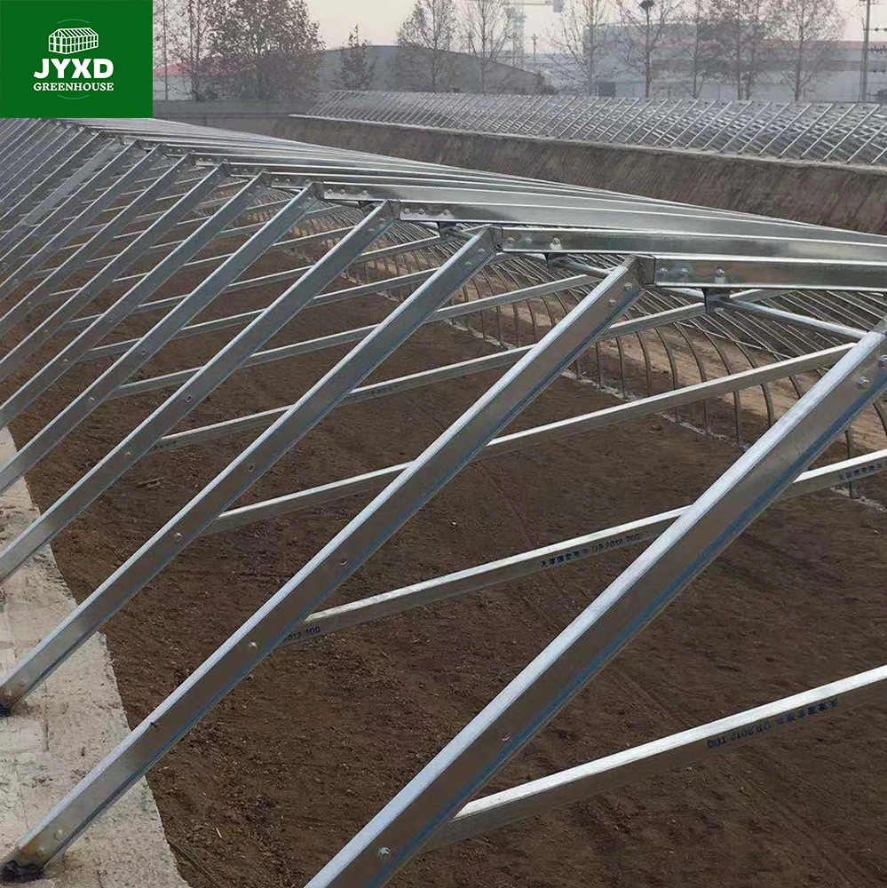 Modern U Section Frame Agricultural Greenhouse with Cooling System for Fruit/Vegetable/Flower/Tomato/Cucumber/Lettuce/Strawberry