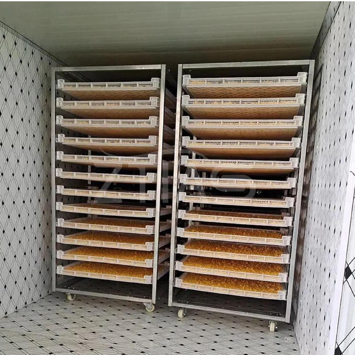 Complete Dried Sliced Mango Drying Machine and Dried Equipment Mango Dehydrator