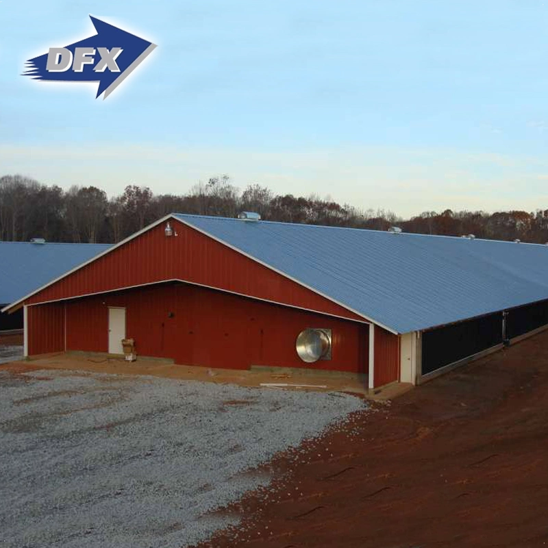 Chicken Use Steel Structure Material Warehouse Building in Poultry Farm