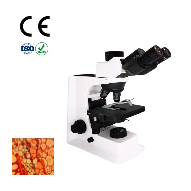 النظام الضوئي الذكي 1tr Olympus MicroScope Cx23، Olympus Cx43 Biological MicroScope Cx33 Olympus