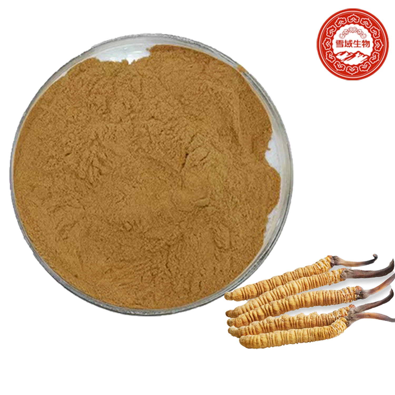 Cordyceps Sinensis Mushroom Extract Powder Cordyceps Extract Cordycepin Mushroom Coffee