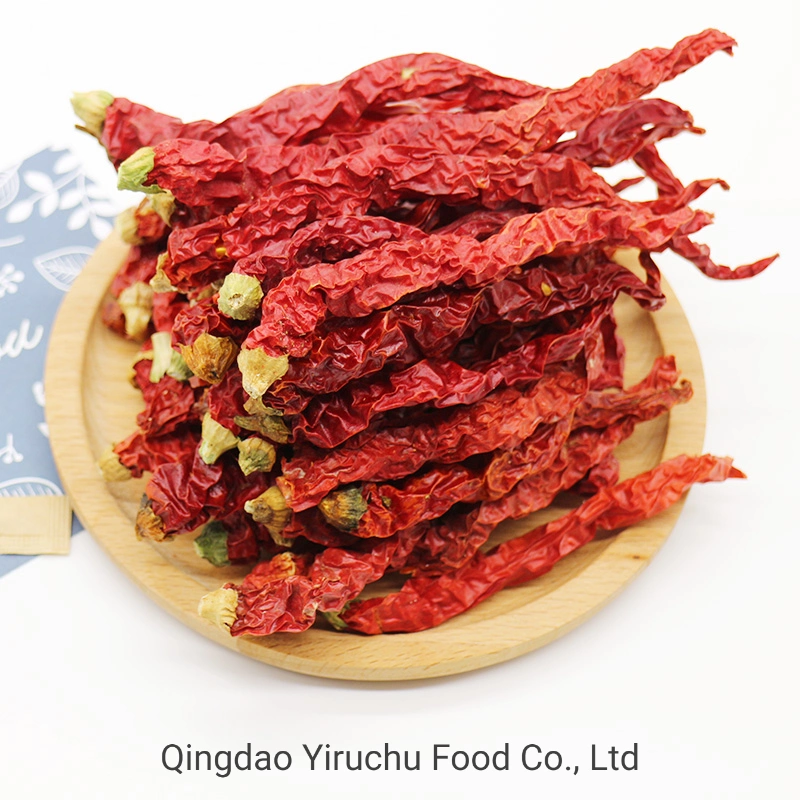 Frozen Chilli Comes From Frozen Vegetables Exported From China, Including Diced Chilli, Pieces of Chilli and Strips of Chilli